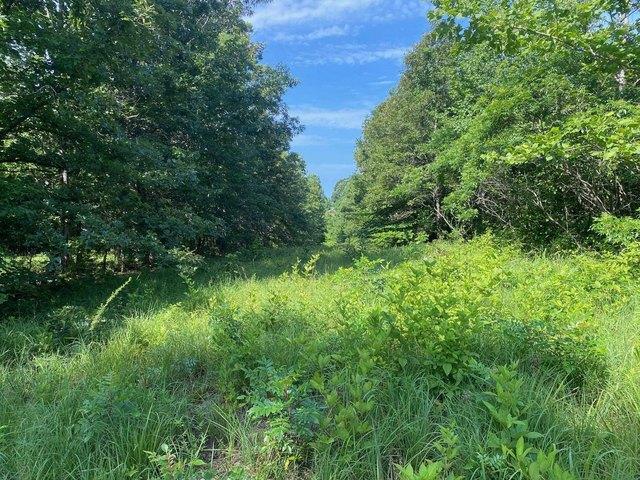 Land for sale in Tennessee