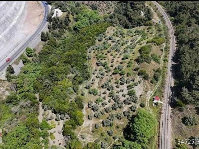 Selçuk, İzmir içerisinde satılık mülk