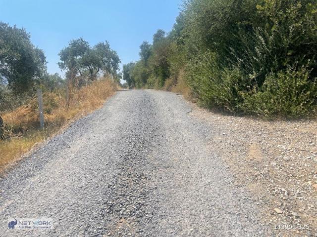 Selçuk, İzmir içerisinde satılık Arsa