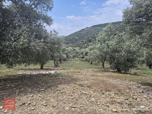 Selçuk, İzmir içerisinde satılık mülk