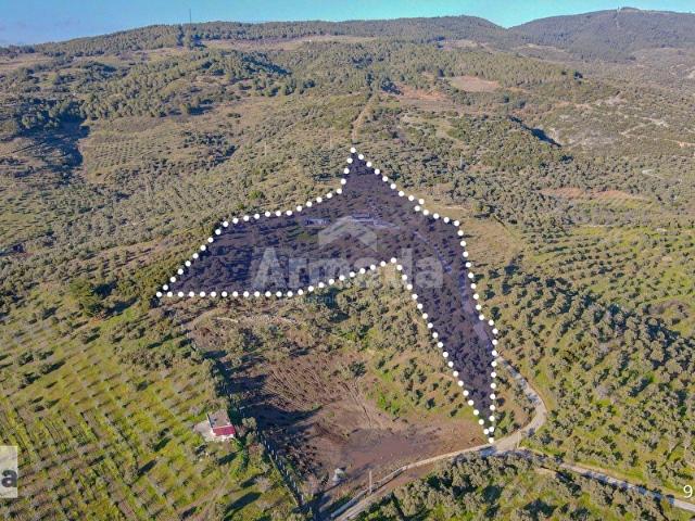Selçuk, İzmir içerisinde satılık mülk