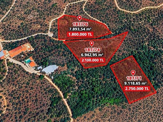 Belevi Mahallesi, Selçuk içerisinde satılık mülk