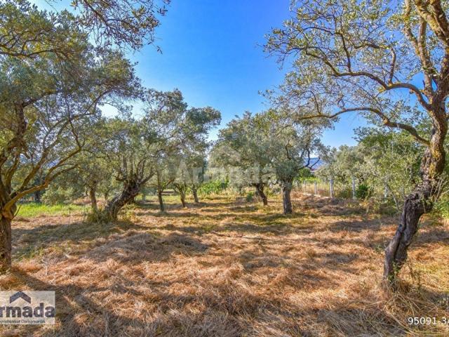 Selçuk, İzmir içerisinde satılık Arsa