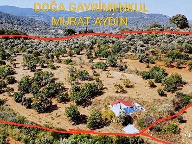 Selçuk, İzmir içerisinde satılık mülk