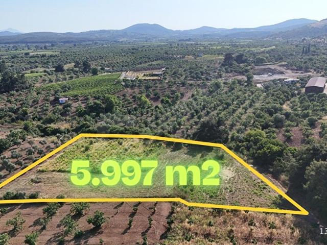 Selçuk, İzmir içerisinde satılık mülk