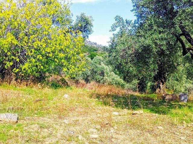 Selçuk, İzmir içerisinde satılık mülk