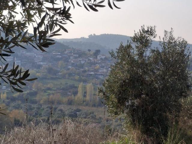 Selçuk, İzmir içerisinde satılık mülk