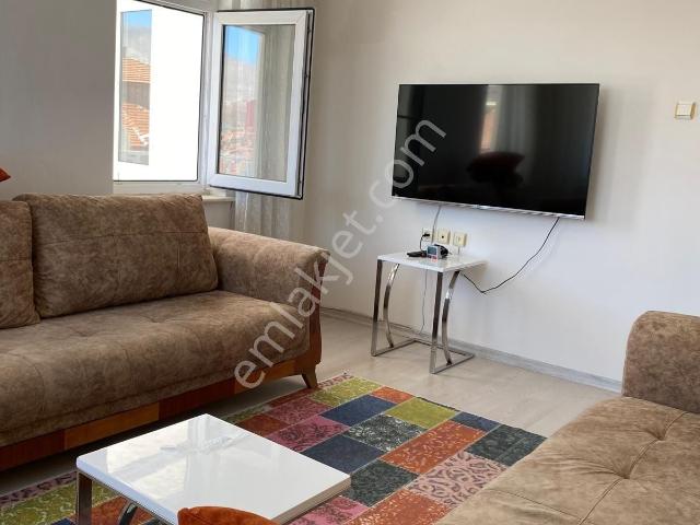 Niğde Merkez, Niğde içerisinde kiralık mülk