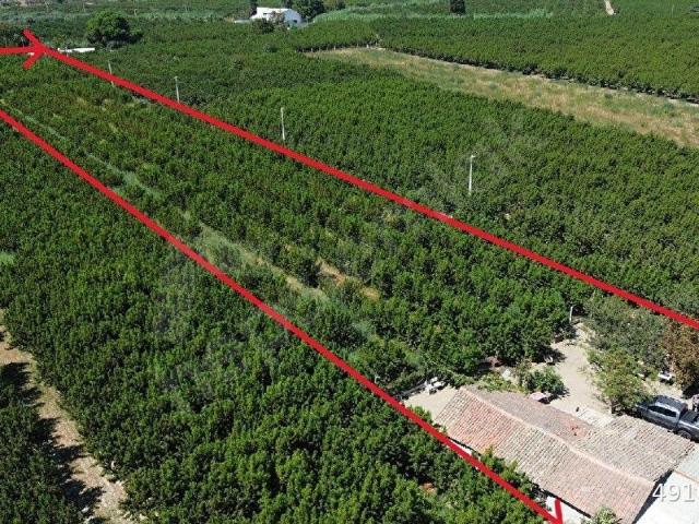 Selçuk, İzmir içerisinde satılık mülk