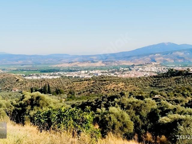 Selçuk, İzmir içerisinde satılık mülk