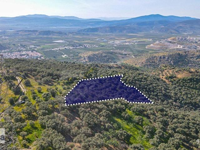 Selçuk, İzmir içerisinde satılık mülk