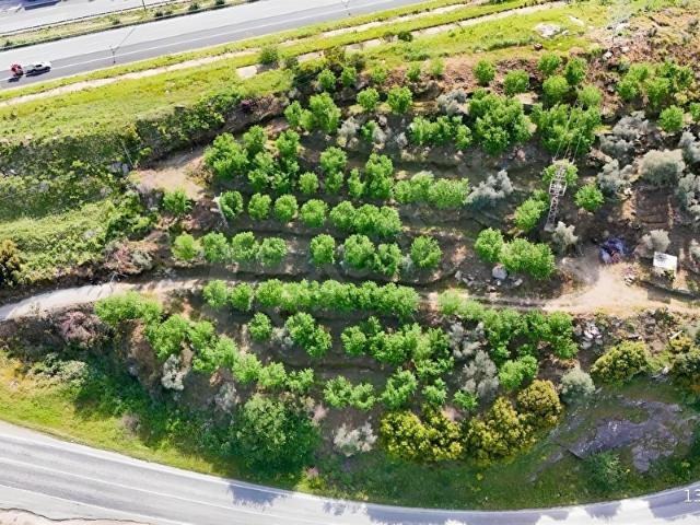 Tire, İzmir içerisinde satılık mülk
