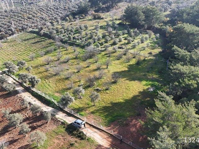 Selçuk, İzmir içerisinde satılık Arsa