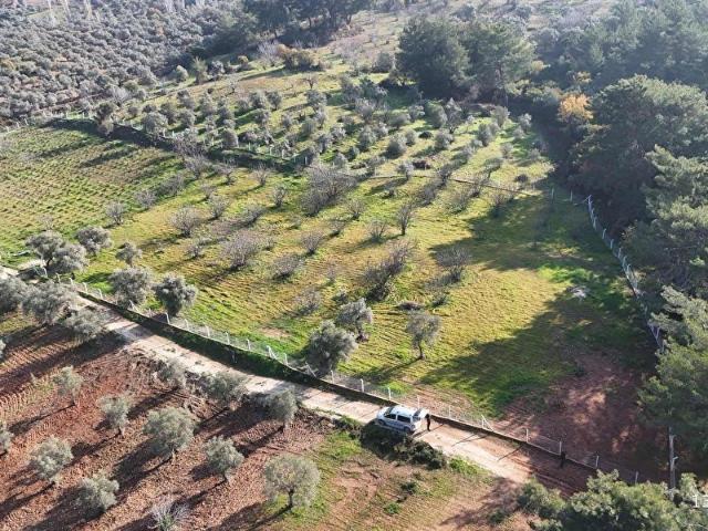Selçuk, İzmir içerisinde satılık Arsa