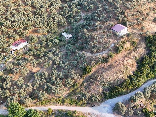 Selçuk, İzmir içerisinde satılık mülk