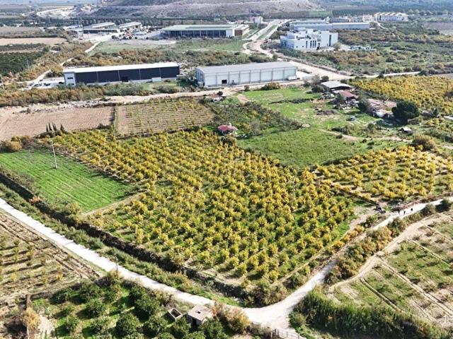Selçuk, İzmir içerisinde satılık Arsa