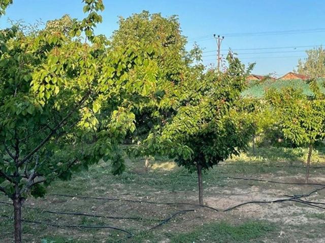 Selçuklu, Konya içerisinde satılık Arsa