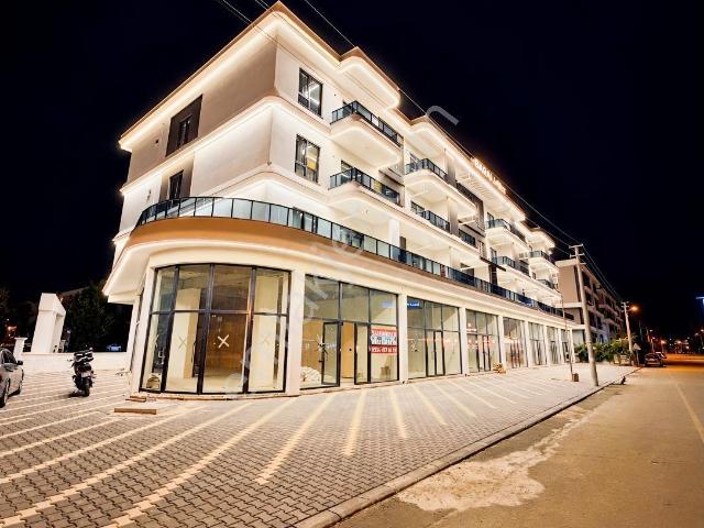 Selçuklu Mahallesi, Afyonkarahisar Merkez içerisinde kiralık mülk