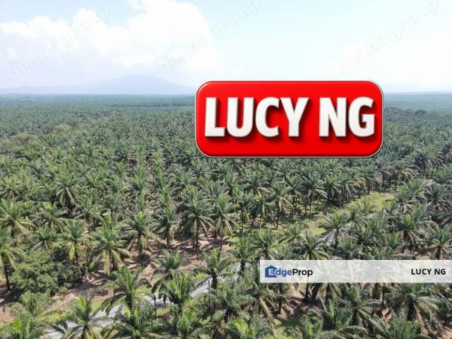 Shop for sale in Perak, Selama