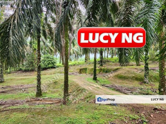 Shop for sale in Perak, Selama