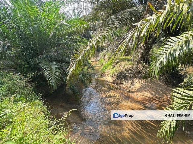 Shop for sale in Malaka