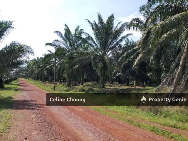 Property for rent in Sungai Besar, Selangor