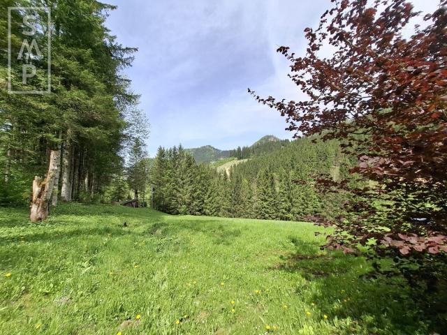 Haus kaufen in Annaberg, Niederösterreich