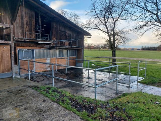Landwirtschaft mieten in Hohentannen, Thurgau