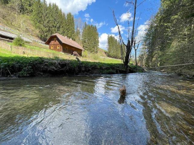 Haus kaufen in Deutsch Griffen, Kärnten