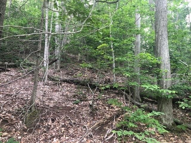 Land for sale in Petoskey, Michigan