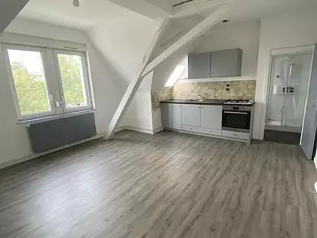 Appartement location à Sélestat-Erstein, Sélestat