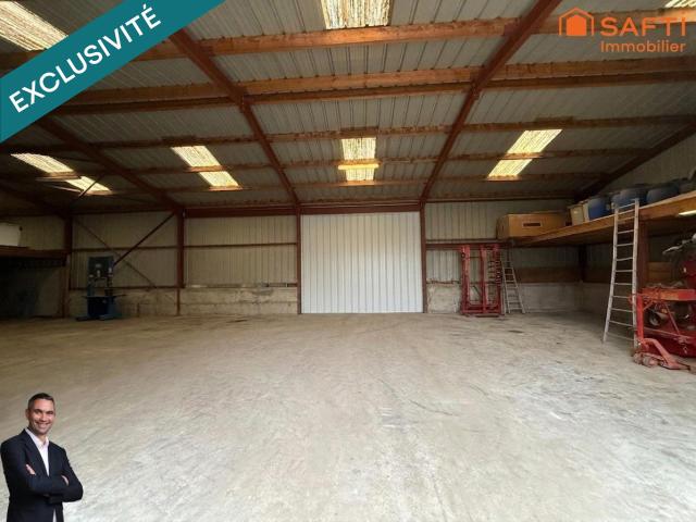 Garage vente à Sélestat-Erstein, Sélestat