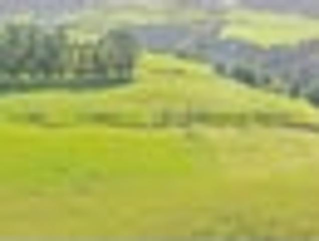 House for sale in Tararua District
