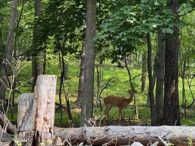 Land for sale in Williamsport