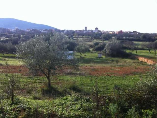 Casa en alquiler en Canet Lo Roig