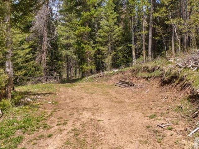 Farm for sale in Bingham, Idaho