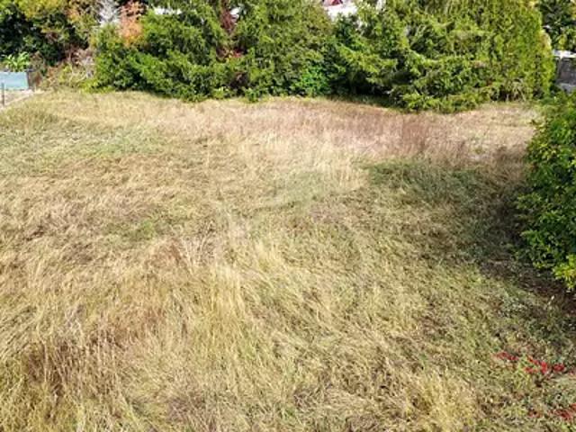 Terrain vente à Selles, Marne