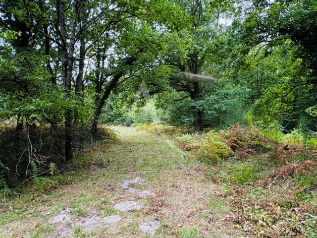 Terrain vente à Romorantin-Lanthenay, Selles-sur-cher