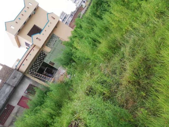 House for sale in Tarlai Kalan, زون ۴