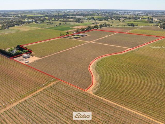 Cottage for sale in Irymple, Rural City of Mildura