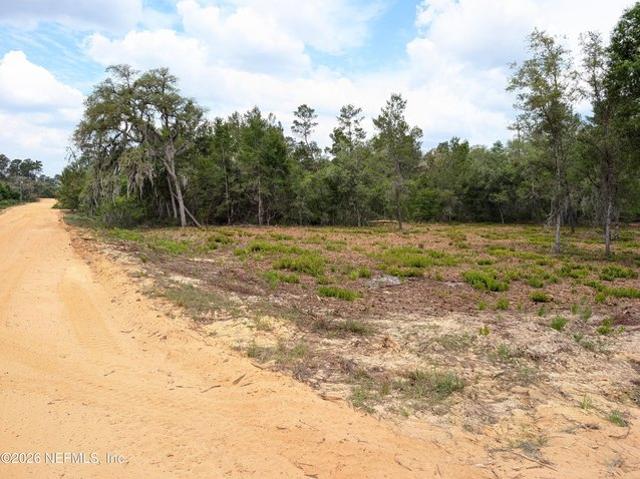 Land for sale in Interlachen, Putnam County