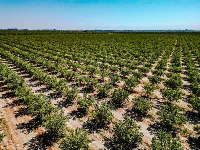 Land for sale in Selma