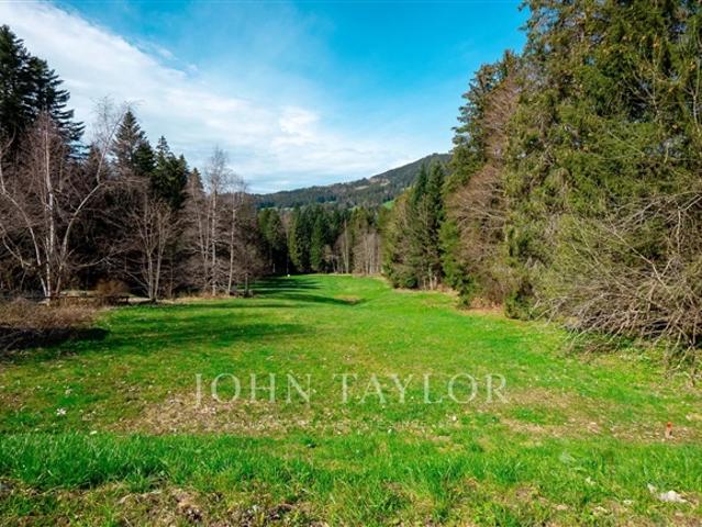 Wohnung kaufen in Les Paccots, Freiburg