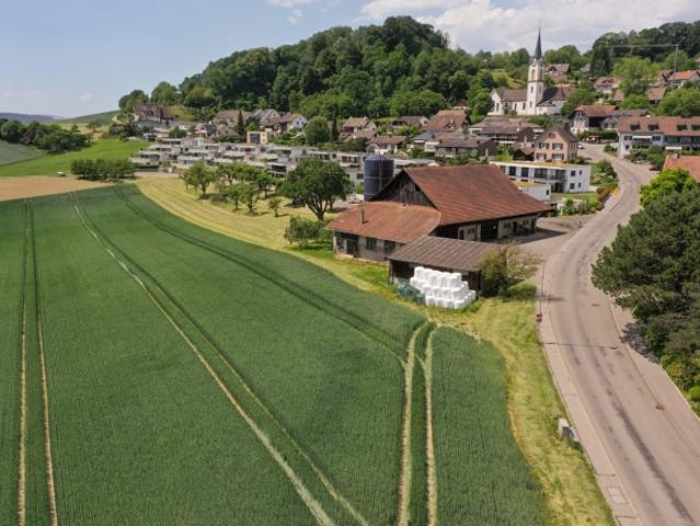 Grundstück kaufen in Schneisingen, Aargau