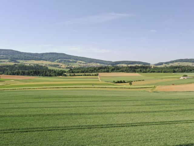 Immobilie kaufen in Schneisingen, Aargau