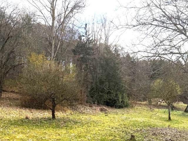 Erdgeschosswohnung kaufen in Bayern