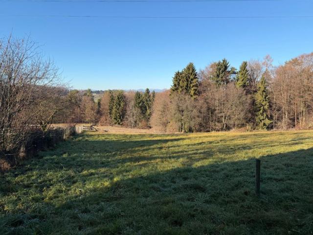Grundstück kaufen in Vasoldsberg, Steiermark