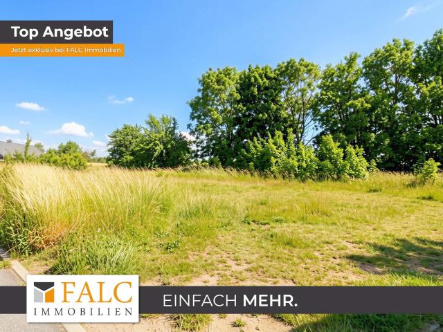 Landwirtschaft kaufen in Zierow, Mecklenburg-Vorpommern
