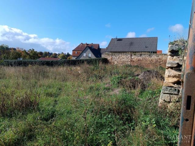 Landwirtschaft kaufen in Barnstädt, Sachsen-Anhalt