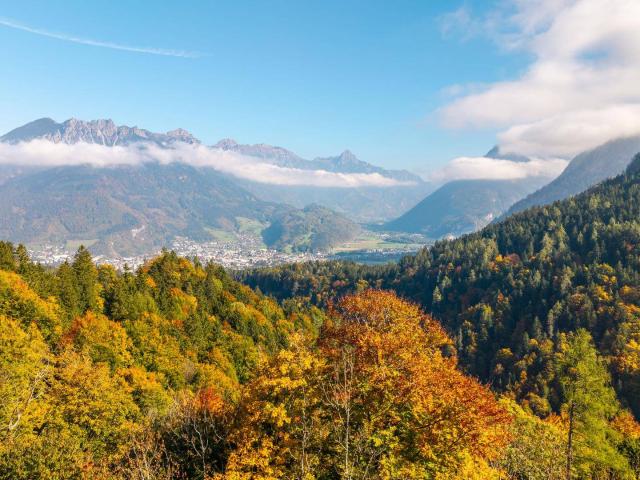 Apartment kaufen in Bürserberg, Vorarlberg